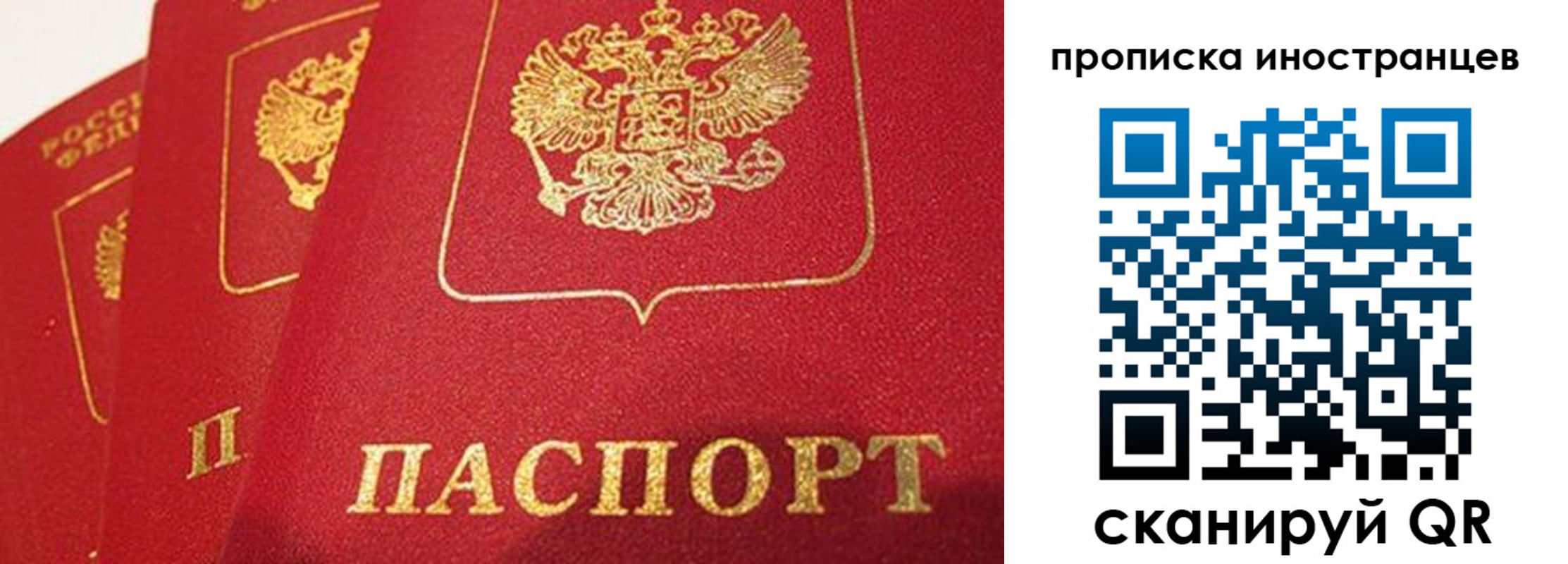 прописка поиск в Тимашёвске